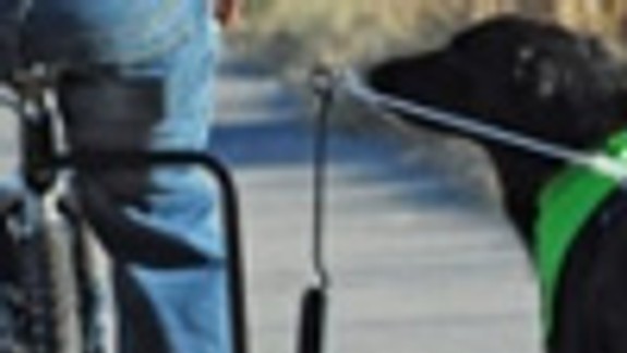 Beh po hrádzi nie je venčením, ale trápením