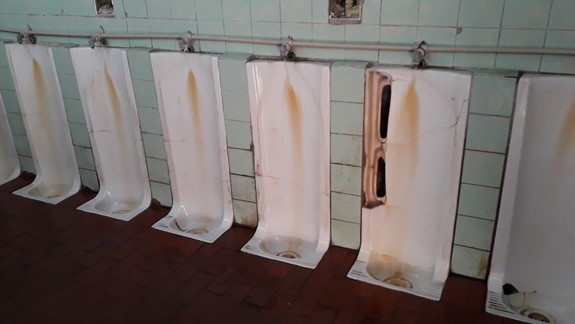 VIDEO a FOTO Katastrofa i "luxus": Nazreli sme do útrob verejných WC v centre Bratislavy