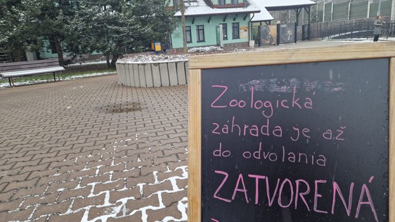 Výskyt vtáčej chrípky sa v bratislavskej zoo u ďalších zvierat neobjavil