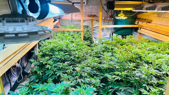 Výsledok protidrogovej akcie v Pezinku: Polícia obvinila 66-ročného muža