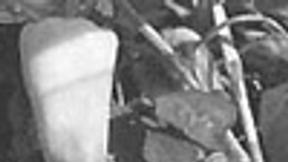 Chodili sme na papriku a paradajky