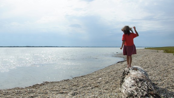 FOTO: Pozrite si najkrajšie fotografie povodia Dunaja