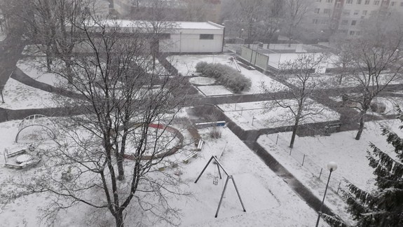 VIDEO Bláznivé počasie: Kedy príde definitívne jar a čo urobilo ochladenie s úrodou?