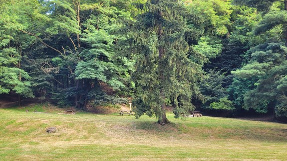 Vedci skúmali, čo bráni Slovákom správať sa ekologicky