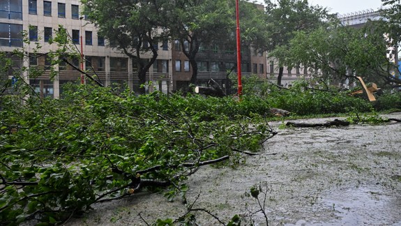 ZMOS chce opraviť chybu v stavebnej legislatíve: Nedá sa uložiť náhrada za výrub