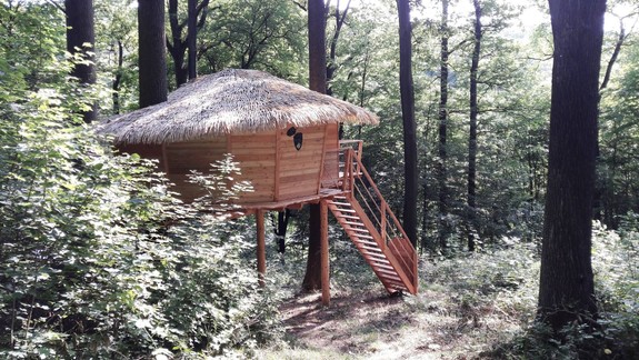 Hasiči zakázali v bratislavských lesoch zakladať ohne a dokonca aj fajčiť!