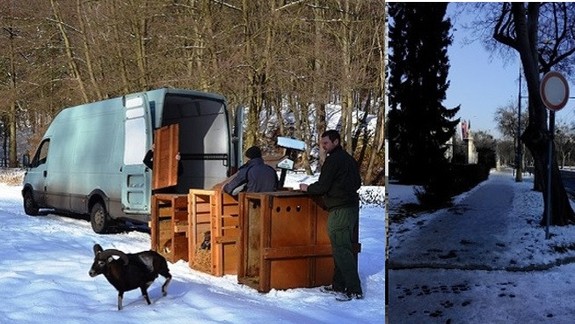Ktoré témy vás v minulom roku najviac zaujali na našom webe? 1. časť - január 2017