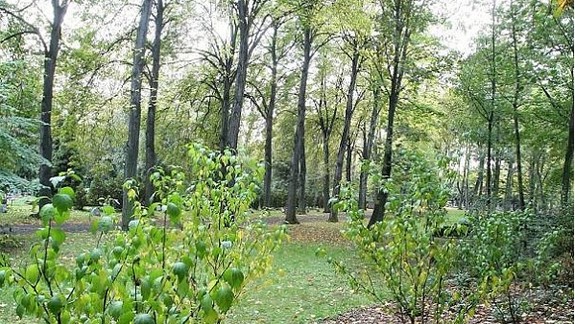 Pohrebných miest je málo - aké sú iné možnosti pochovávania?