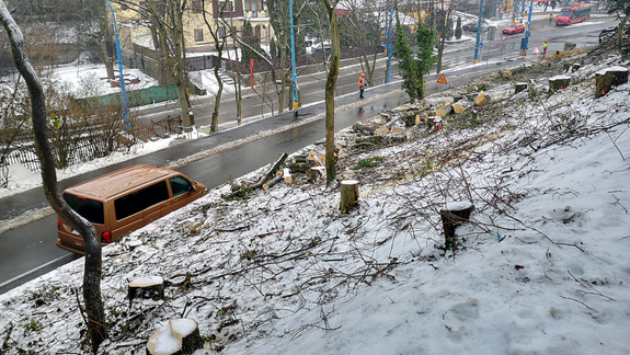 FOTO Na Drotárskej už nezostali takmer žiadne stromy, aktivisti aj pracovníci staromestského úradu museli pozemok opustiť