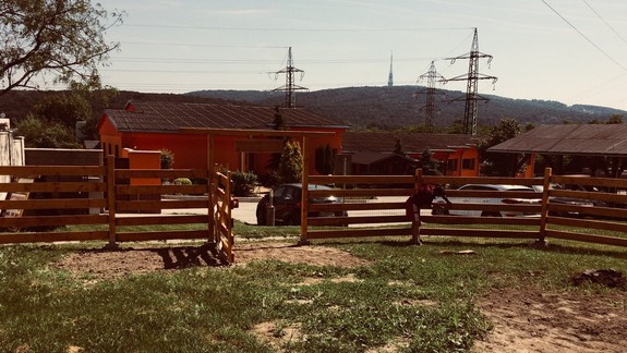 Na Poliankach budujú nový výbeh pre hospodárske týrané zvieratá