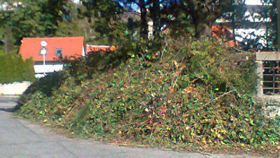 Staré Mesto pripravuje zber zeleného odpadu,pripomína prihlásenie sa