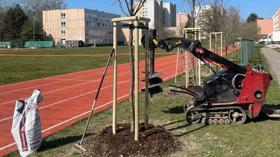 Počas jarnej výsadby pribudli v Petržalke desiatky listnatých a ihličnatých stromov