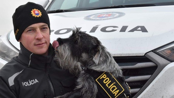 Zachráni životy domácich miláčikov? Tento špeciálny policajný pes dokáže nájsť otravu