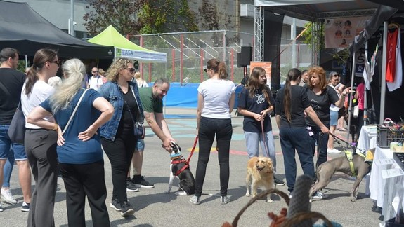 Nájdite sa: V sobotu si opäť môžete adoptovať zvieratko z útulku