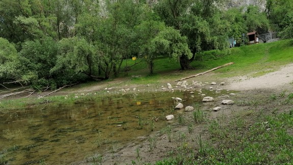 VIDEO: Prichádza invázia komárov? Nakrútili sme ich liahnisko. Čo na to magistrát?