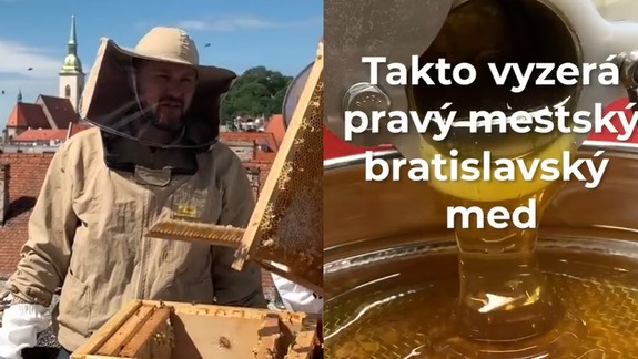 VIDEO: Primátor bol ochutnať med, ktorý vyprodukovali včely na streche magistrátu