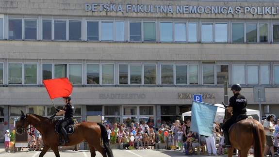 FOTO: Takto oslávili Deň detí malí pacienti v Národnom ústave detských chorôb