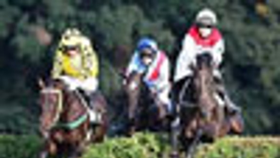 Víťazom Veľkej starohájskej steeplechase Capart