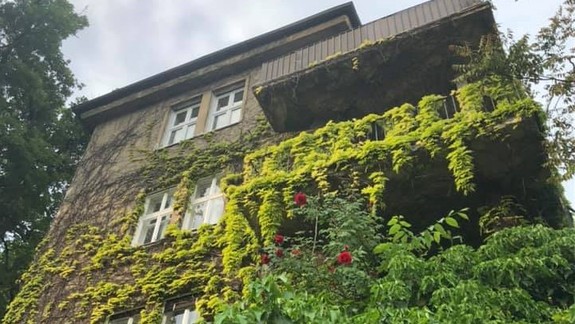 VIDEO: Nádherné zvuky, ani by ste neverili, že ste sa ocitli v centre Bratislavy