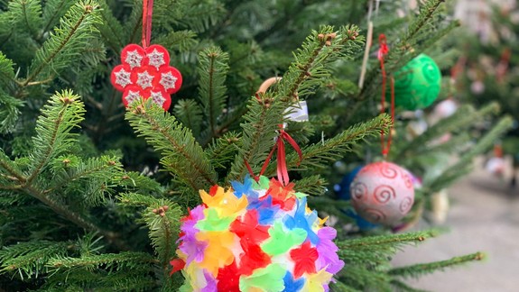 FOTO a VIDEO: Na Primaciálnom námestí vyrástol Vianočný les - stromčeky ozdobili deti z bratislavských základných škôl