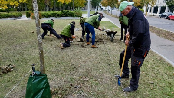 Na jar rozkvitne v Bratislave 10 000 nových tulipánov