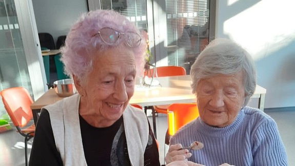 V račianskom stacionári vrcholia prípravy na Vianoce