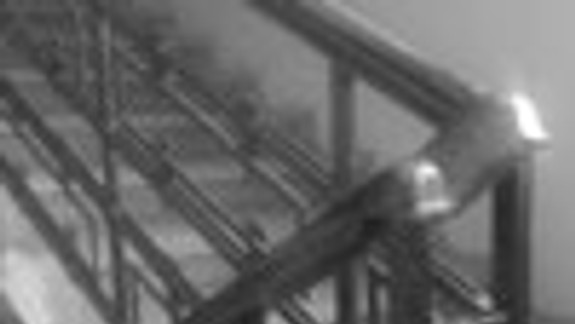 Cena jedného udania bola päť korún