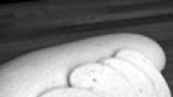 Vďaka otcovi bola plná miska sviečkovej