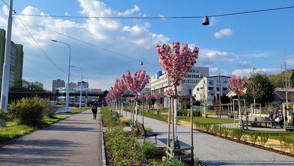 Klimatológ: Minulý rok boli už v marci splnené podmienky na kvitnutie stromov