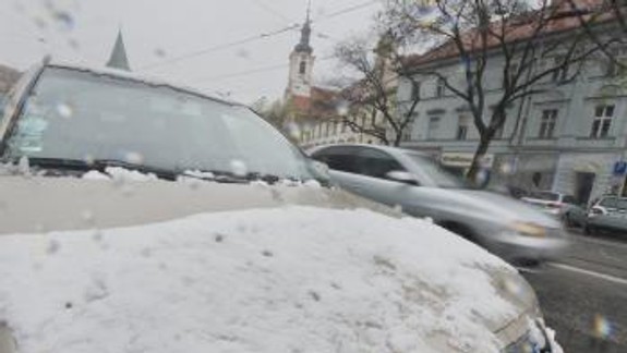 Na Studenohorskej v Lamači polámal sneh 21 stromov