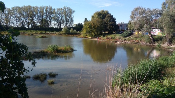 Viete, prečo rybník v Devínskej roky chátra? Čoskoro by sa to malo zmeniť