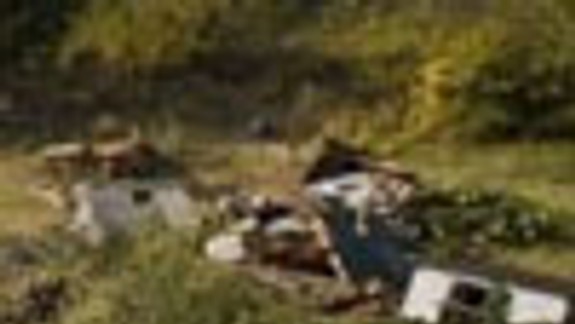 Výsadba nových stromov nie je veľkou útechou