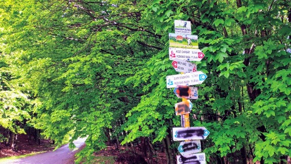 FOTO: Nevideli ste vandalov, ktorí poškodili cykloznačky v Malých Karpatoch?