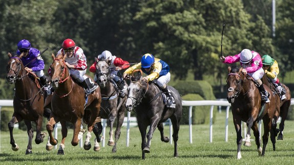 Dostihy: Víťazom Slovenského St. Legeru sa stal favorizovaný Darkolva