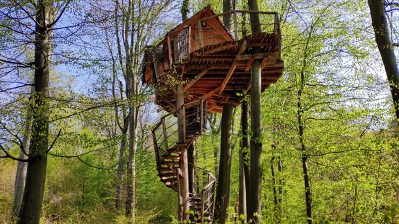 VIDEO: Už ste niekedy videli, ako vyzerá interiér v domčeku na strome?