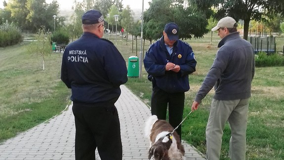 Mestskí policajti kontrolovali psíčkarov. Takto to dopadlo