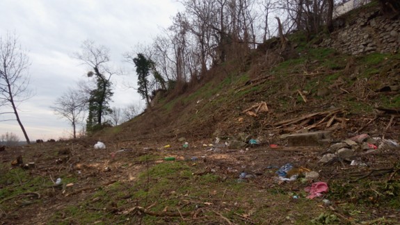 Pre výstavbu Južného mesta v Petržalke žiadajú vyrúbať 49 drevín