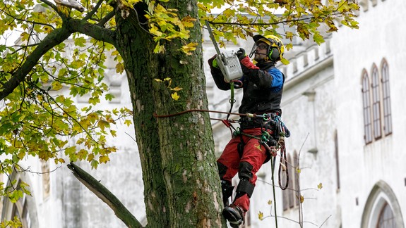V Rusovciach vynovujú park. Kedy príde na rad kaštieľ?