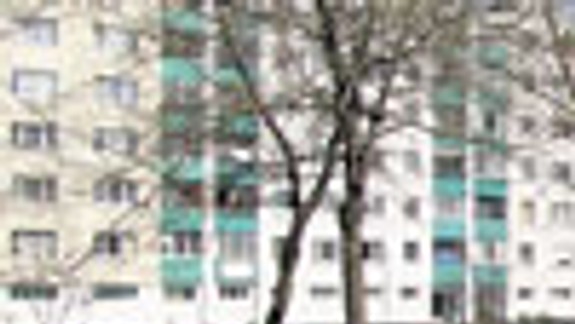 Prišli o stromy, ale aj o parkovisko