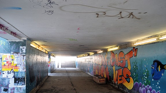 V podchode na Borskej ulici videli potkany, magistrát to popiera