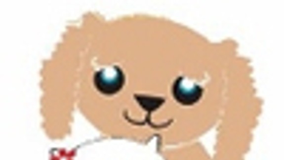 V Horskom parku možno v nedeľu nájsť zvieracieho priateľa