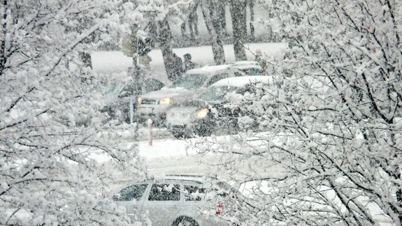 Zomrel chlapec, na ktorého spadol strom