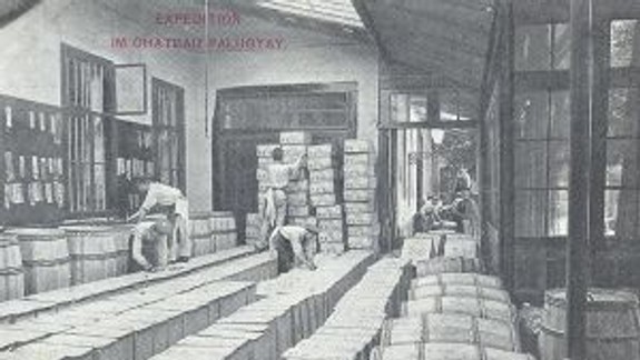 Vinári verili, že strážny anjel ich môže trestať