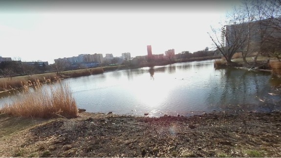 VIDEO: Pozrite sa, čo sa našlo na brehu ružinovského jazera Rohlík - spoznávate ho?