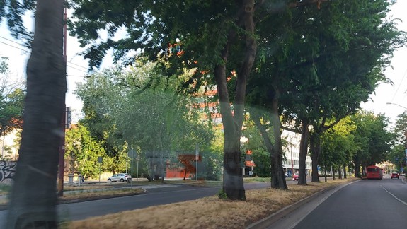 Na Karadžičovej a Legionárskej vzniknú bus pruhy pre rýchlejšiu MHD