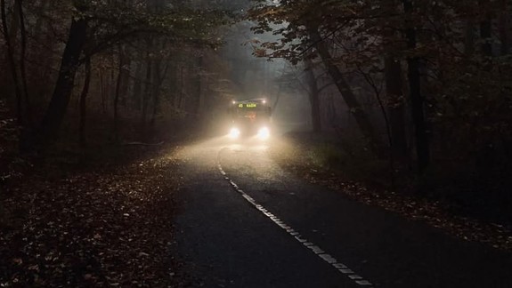 Tip na pekný letný večer: V mestských lesoch môžete po zotmení pozorovať svetlušky