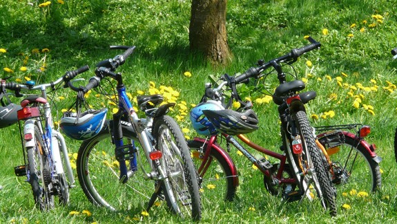 Cyklovýlet lepší ako tablet: Tipy na trasy, ktoré si užijú aj lenivejšie deti