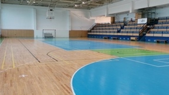 Halu Malina chce mesto Malacky využívať aj po sprevádzkovaní Šport arény