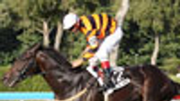 Slovenské derby vyhral český Age of Jape