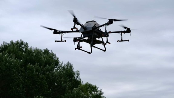 Pri Devínskej Novej Vsi sa objavili larvy komárov, mesto nasadí dron